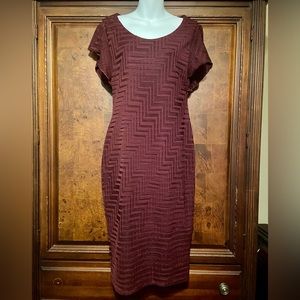 Beautiful Maroon Fitted Dress